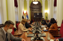 8 December 2020 The Chairman of the Foreign Affairs Committee and the Head of the Parliamentary Friendship Group with Egypt in meeting with the Egyptian delegation